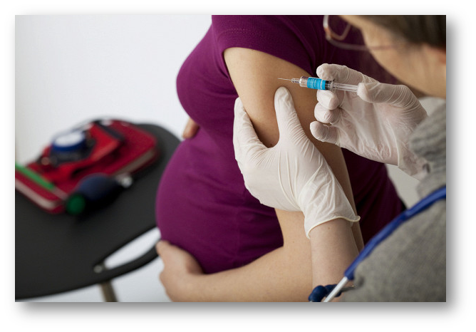Прививки и беременность мамы thumbnail