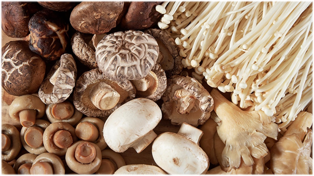 Китайские грибы - самые популярные, описание и рецепты