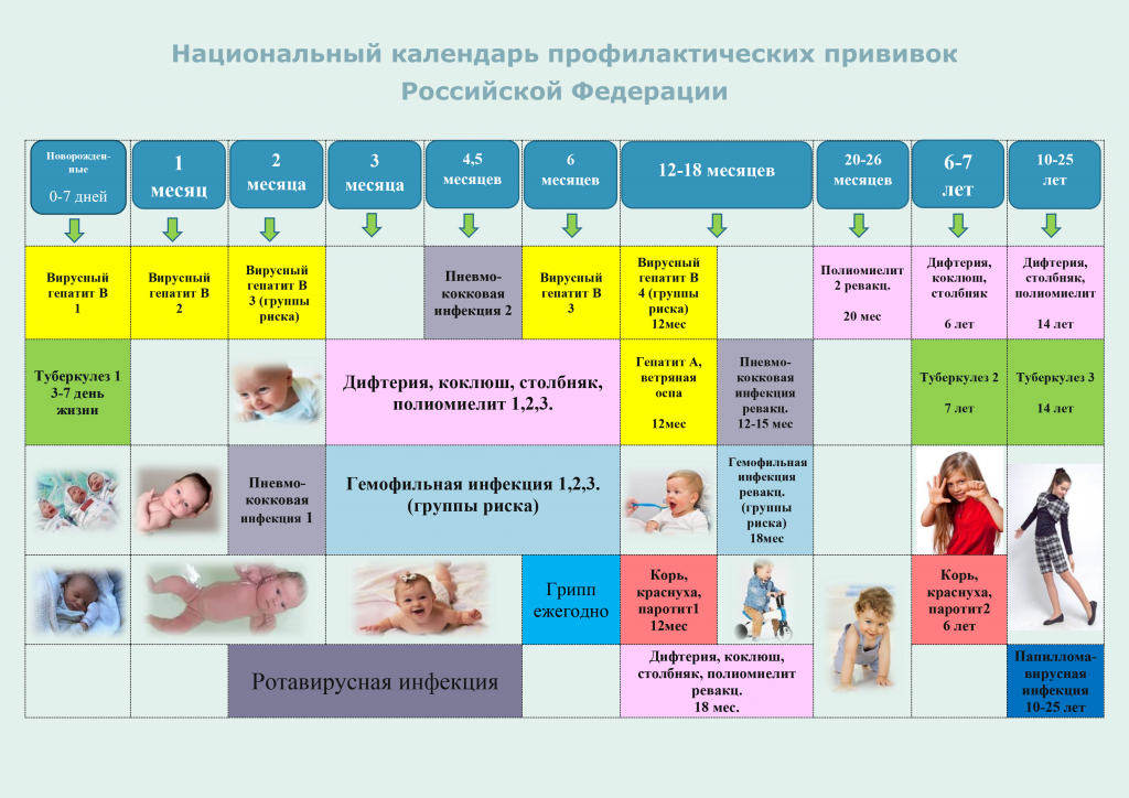 Национальный календарь 2022. Национальный календарь профилактических прививок РФ. Вакцинопрофилактика национальный календарь прививок. Национальный календарь прививок 2020 Россия. Национальный календарь прививок 2020 Россия таблица для детей.