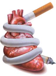 какое действие оказывает никотин на организм человека