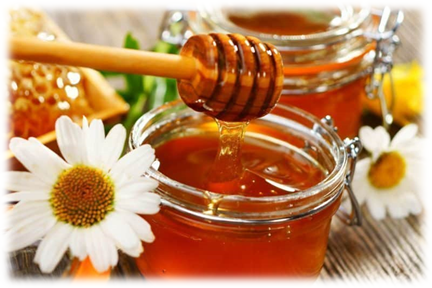 Луговой мед полезные свойства и противопоказания